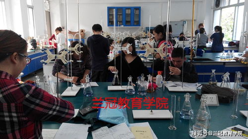 福建食品檢驗(yàn)技術(shù)培訓(xùn)與考證全攻略 報(bào)名渠道與流程詳解